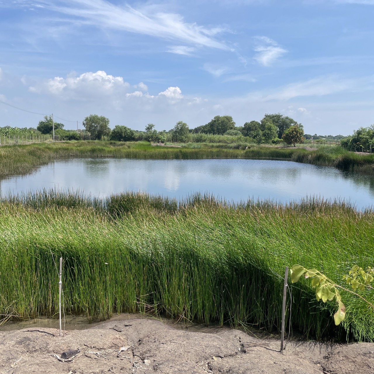 ขายที่ดินเปล่า 4 ไร่ ถมแล้ว ล้อมรั้ว มีบ่อน้ำ ราคาดี ทำเลกำลังโต