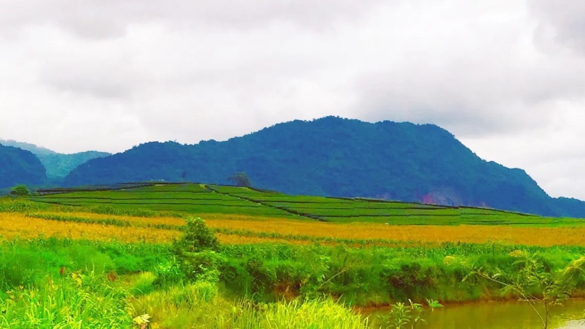 ขายที่ดินพรีเมียมติด Singha Park เชียงราย  14 ไร่  วิวภูเขาพาโนรามา