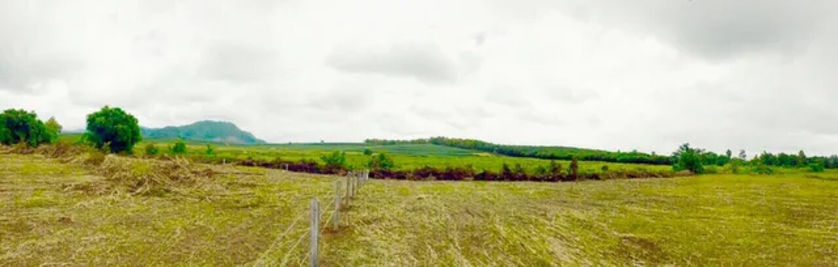 ขายที่ดินพรีเมียมติด Singha Park เชียงราย  14 ไร่  วิวภูเขาพาโนรามา