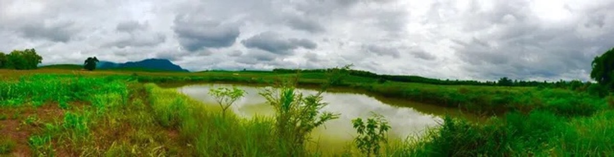 ขายที่ดินพรีเมียมติด Singha Park เชียงราย  14 ไร่  วิวภูเขาพาโนรามา