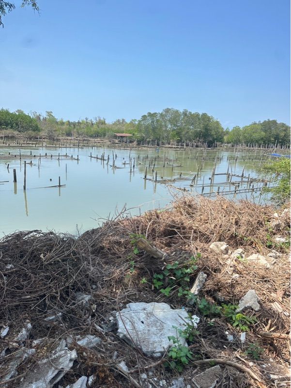 ขายที่ดินเปล่า พร้อมโครงสร้าง คลองตาสังข์ อำเภอท่าใหม่ จังหวัดจันทบุรี