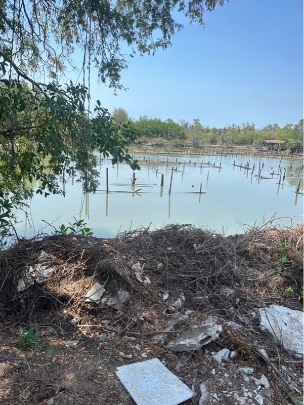 ขายที่ดินเปล่า พร้อมโครงสร้าง คลองตาสังข์ อำเภอท่าใหม่ จังหวัดจันทบุรี