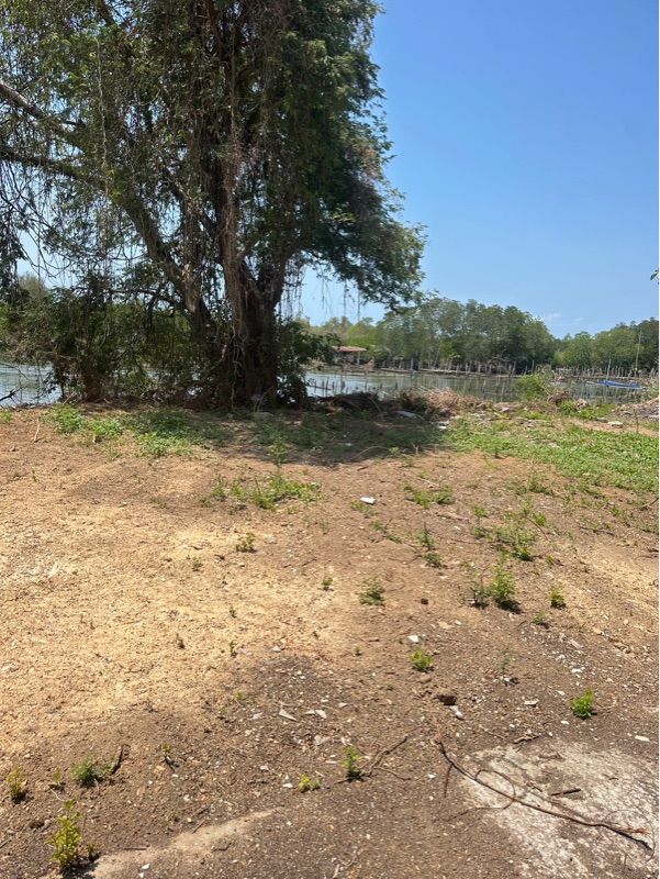 ขายที่ดินเปล่า พร้อมโครงสร้าง คลองตาสังข์ อำเภอท่าใหม่ จังหวัดจันทบุรี