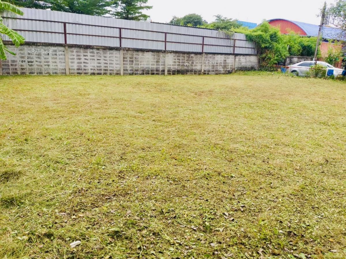 ขายที่ดินเปล่า แปลงสวย ทำเลทอง ย่านดอนเมือง – สรงประภา