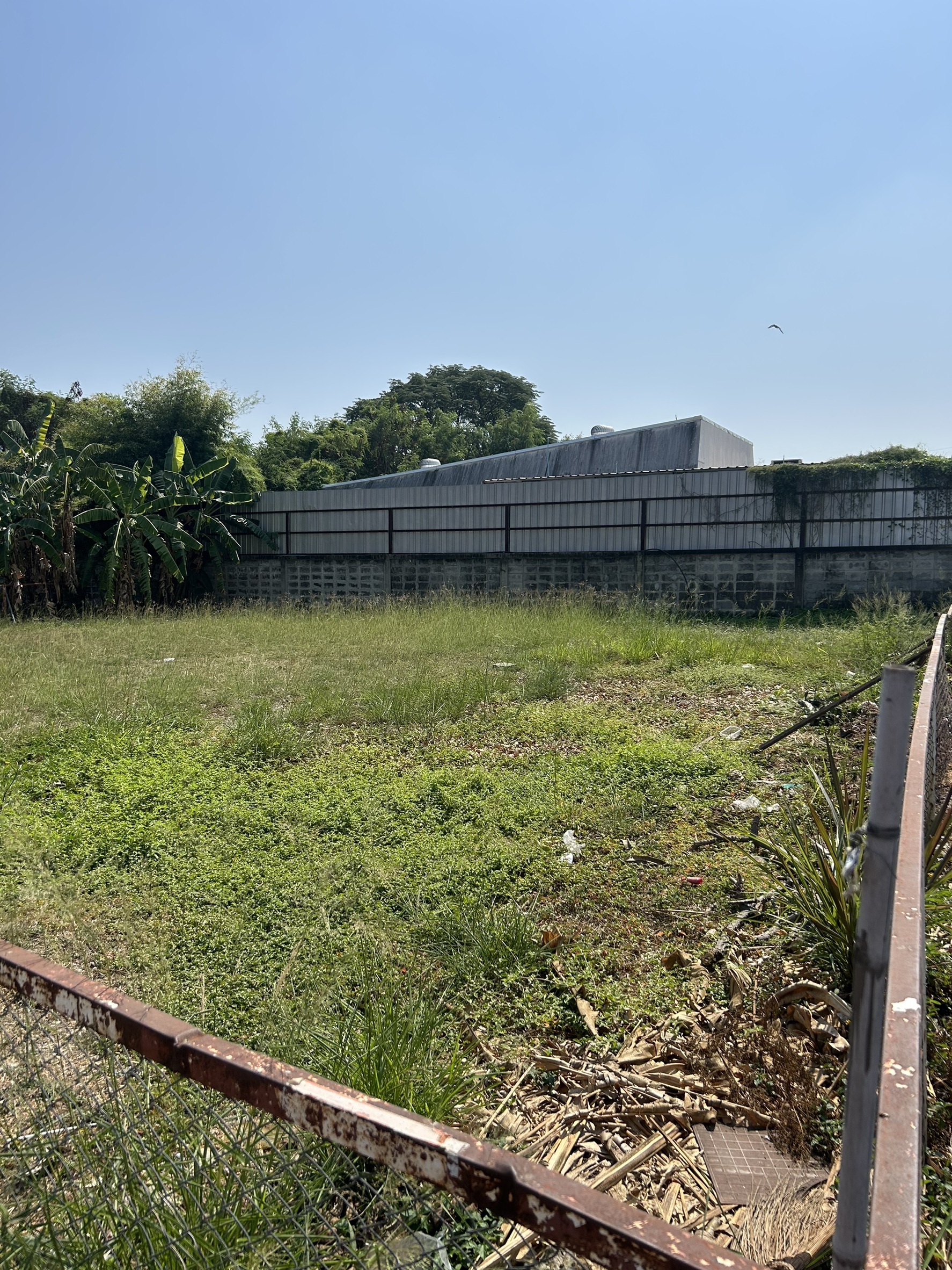 ขายที่ดินเปล่า แปลงสวย ทำเลทอง ย่านดอนเมือง – สรงประภา