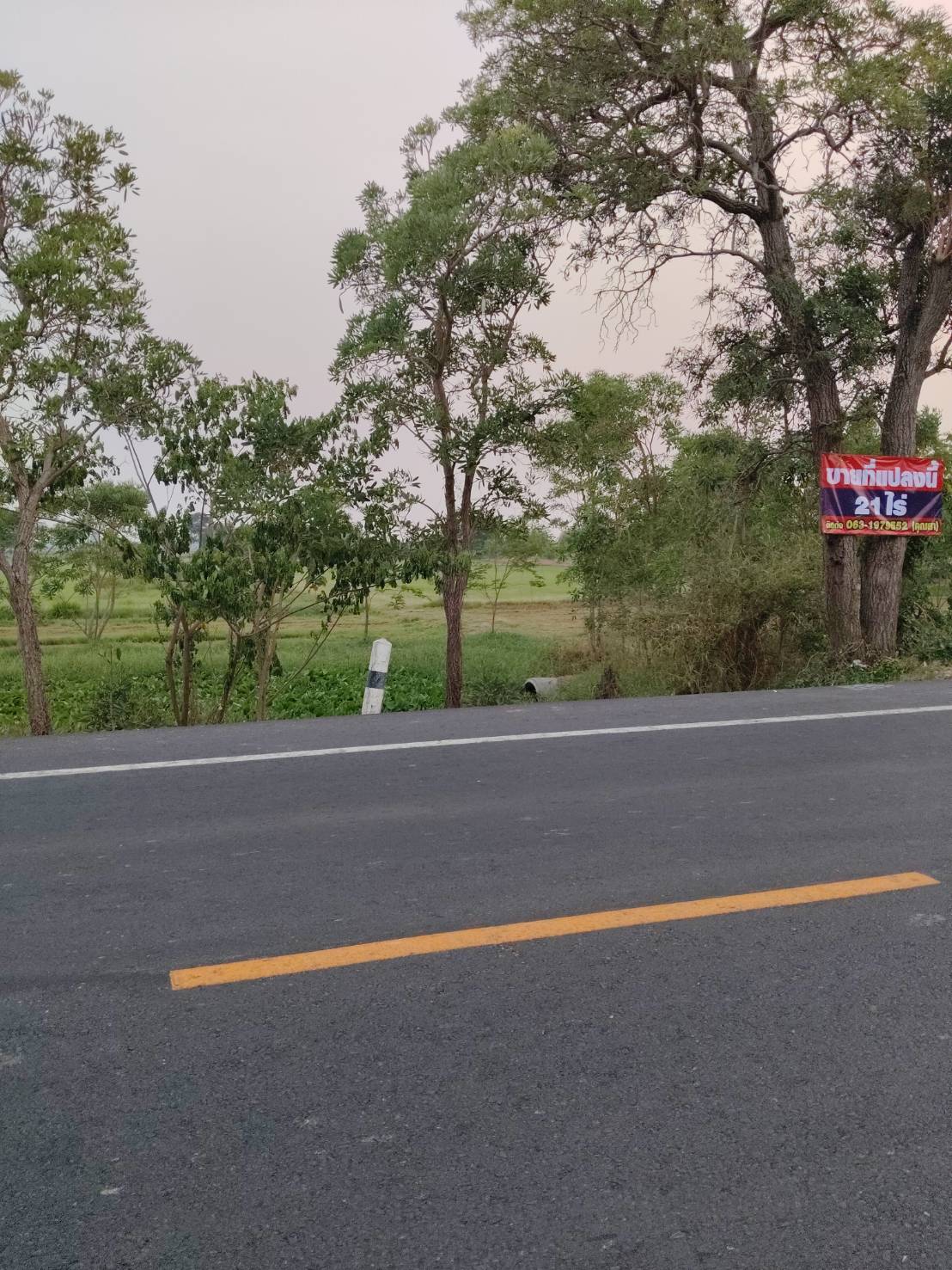 ขาย ที่ดินเปล่า 21ไร่66ตารางวา ตำบล หนองสะเดา สุพรรณบุรี