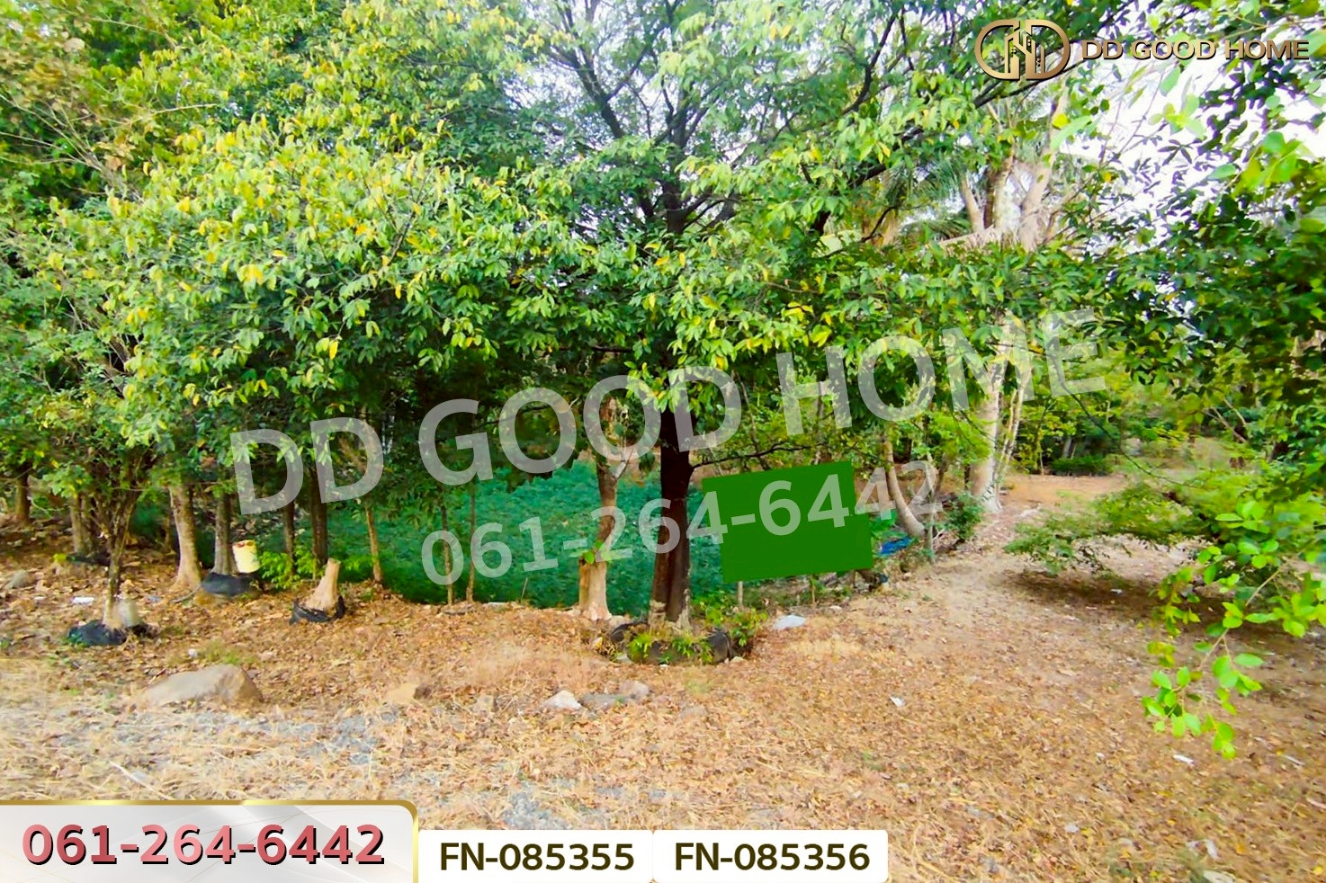 ที่ดินเขาเพิ่ม 3 ไร่ 156.1 ตร.ว. นครนายก ใกล้ปิ่นโตคาเฟ่ FN-085355