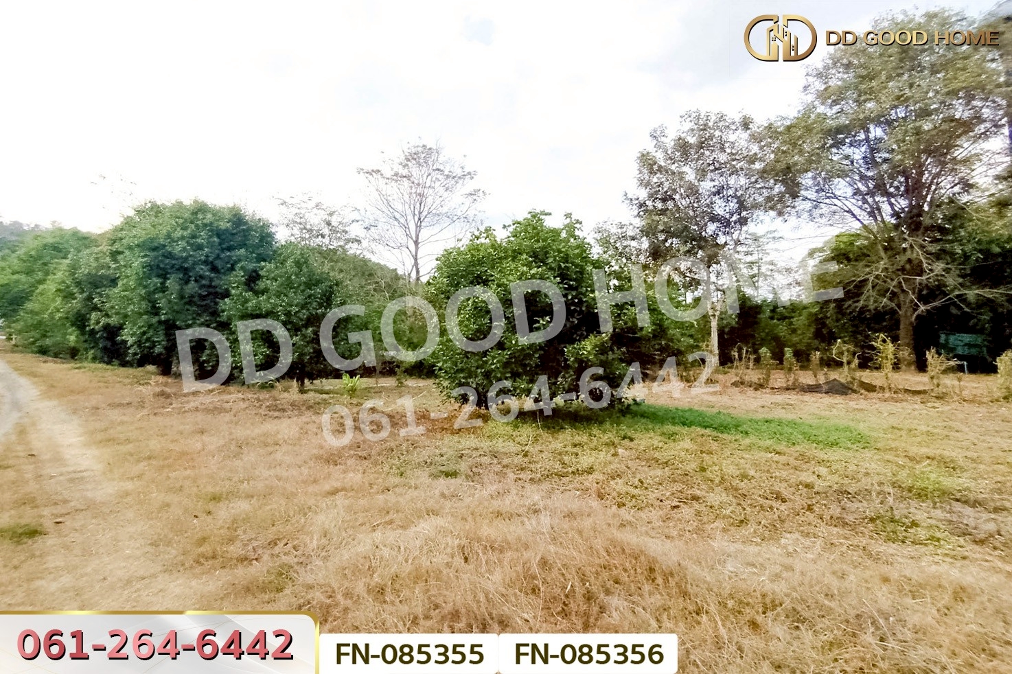 ที่ดินเขาเพิ่ม 3 ไร่ 156.1 ตร.ว. นครนายก ใกล้ปิ่นโตคาเฟ่ FN-085355