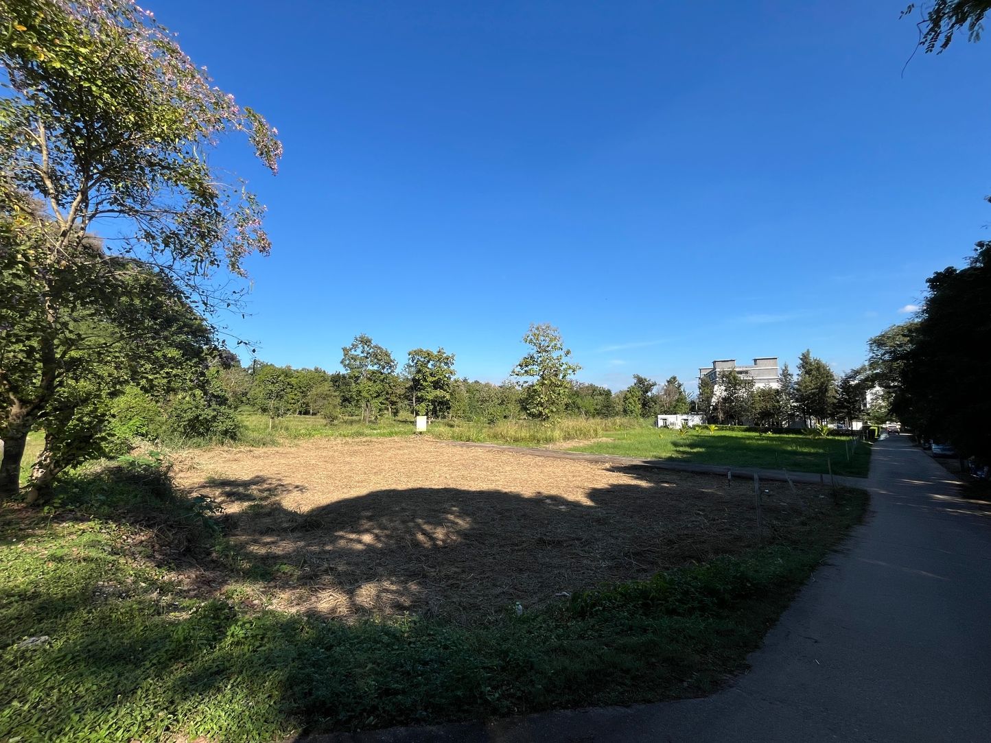 ขาย / ให้เช่าที่ดินเปล่า ทำเลทอง หลัง มช. (ใกล้ มหาวิทยาลัยเชียงใหม่)