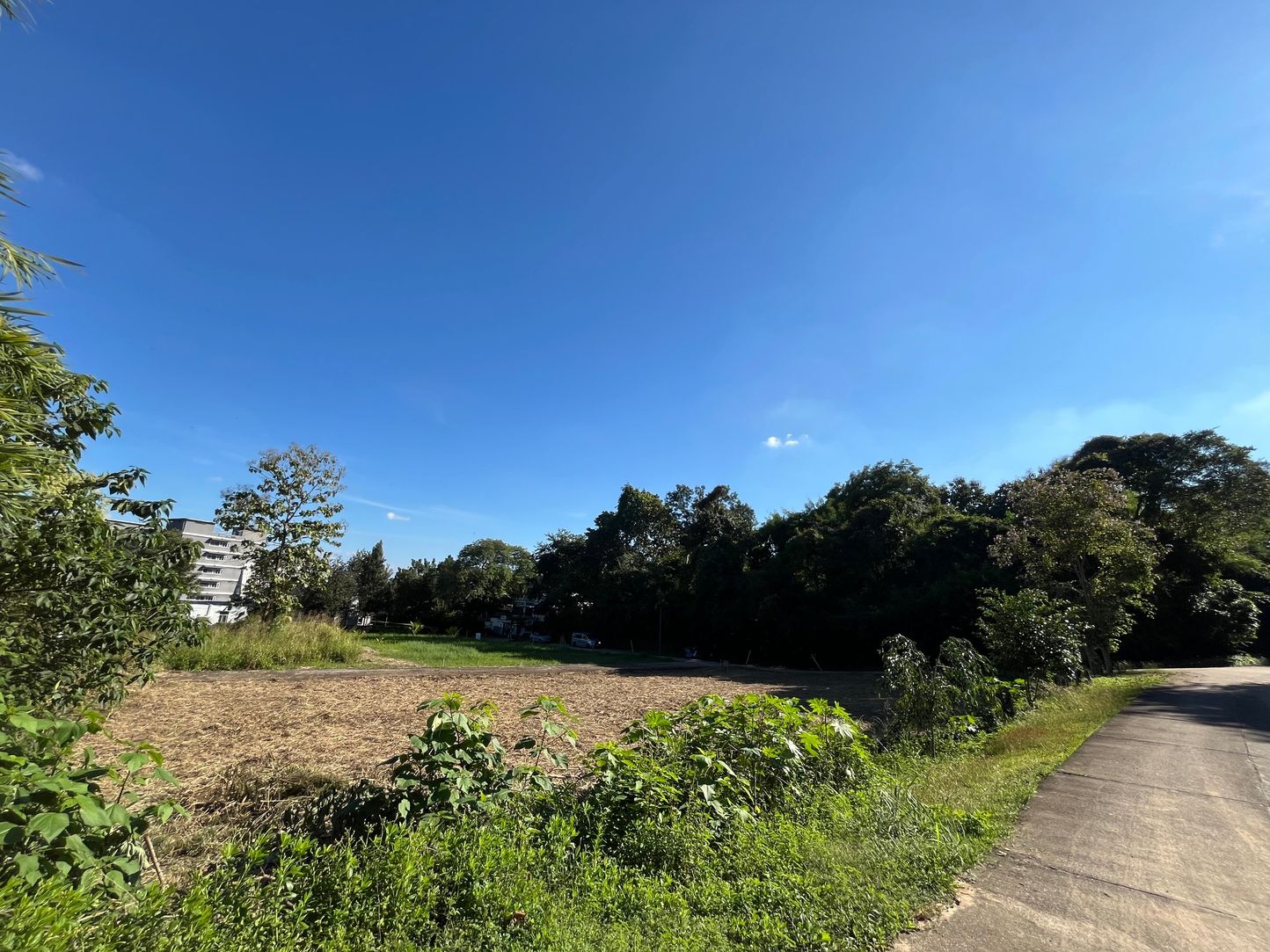 ขาย / ให้เช่าที่ดินเปล่า ทำเลทอง หลัง มช. (ใกล้ มหาวิทยาลัยเชียงใหม่)