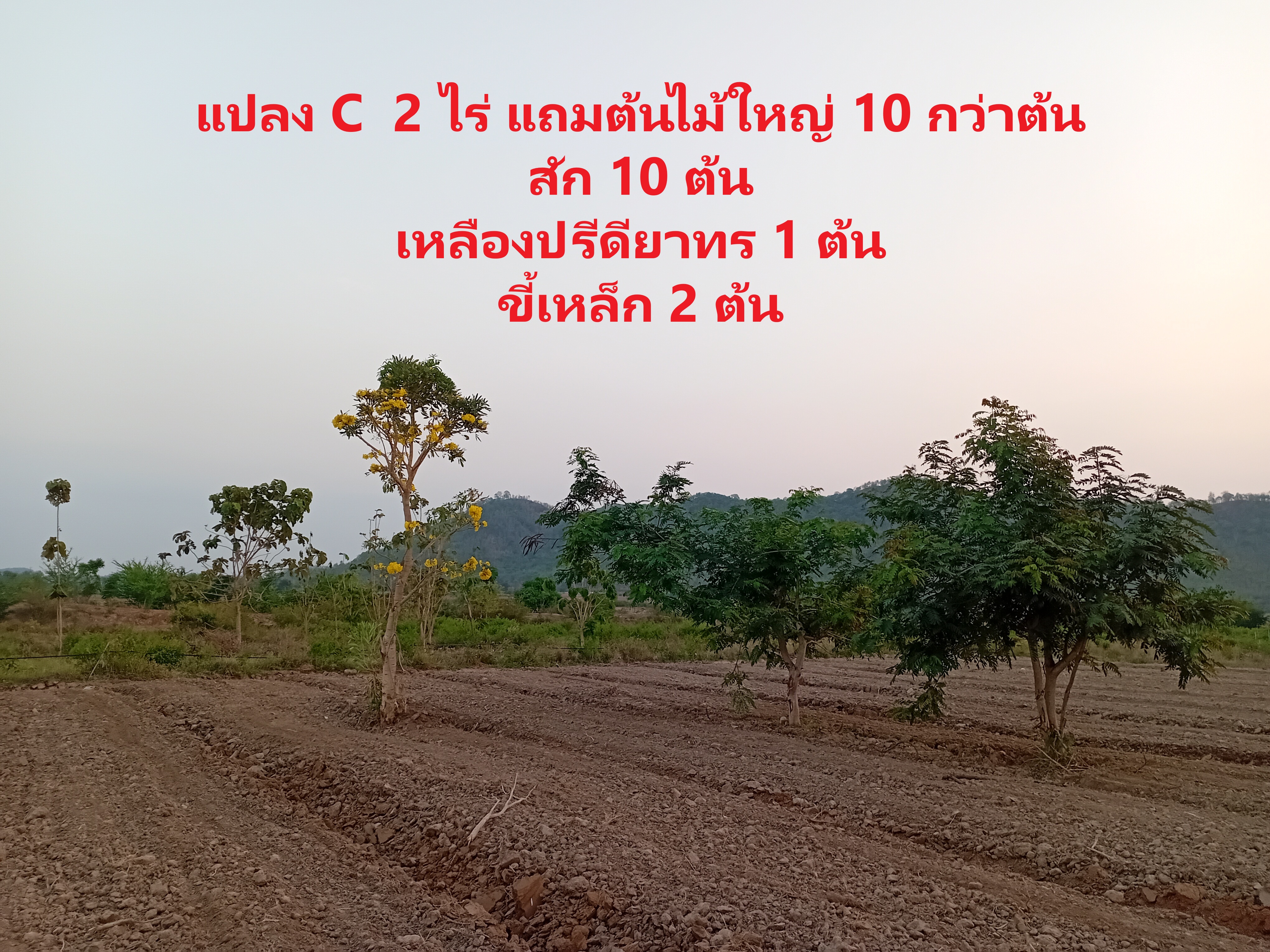 ร้อนนี้…หนีเมือง มามี “บ้านสวนในฝัน” กันไหม ที่ดินเชิงเขาสวยๆ บรรยากาศสงบ ที่ท่าม่วง กาญจนบุรี