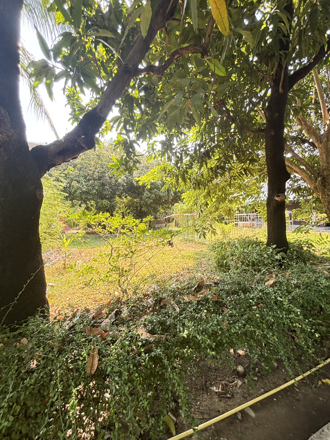 ขายที่ดินสุขุมวิท 64 แปลงใหญ่ 777 ตร.ว. ทำเลศักยภาพ ใกล้ BTS 