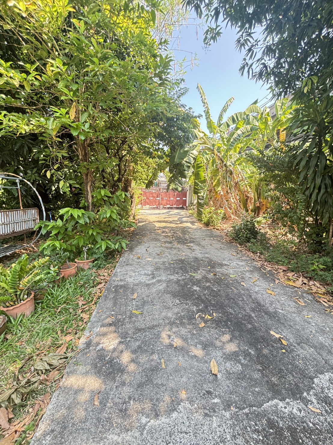 ขายที่ดินสุขุมวิท 64 แปลงใหญ่ 777 ตร.ว. ทำเลศักยภาพ ใกล้ BTS 