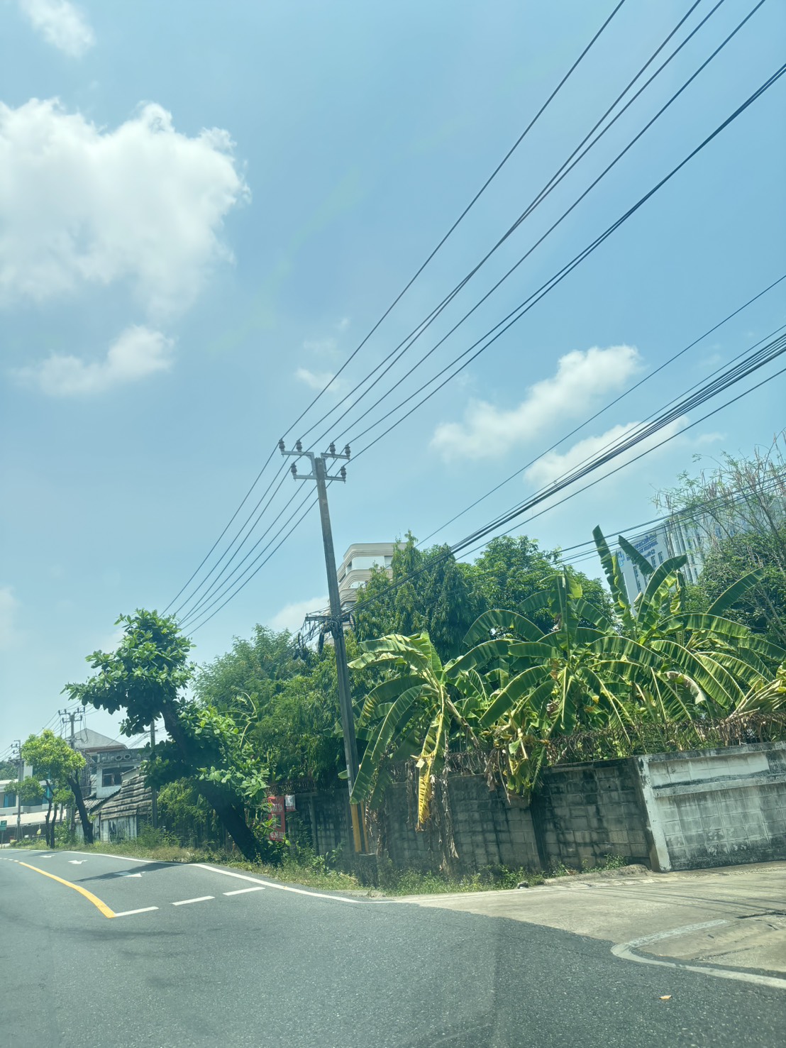 ขายที่ดินสุขุมวิท 64 แปลงใหญ่ 777 ตร.ว. ทำเลศักยภาพ ใกล้ BTS 