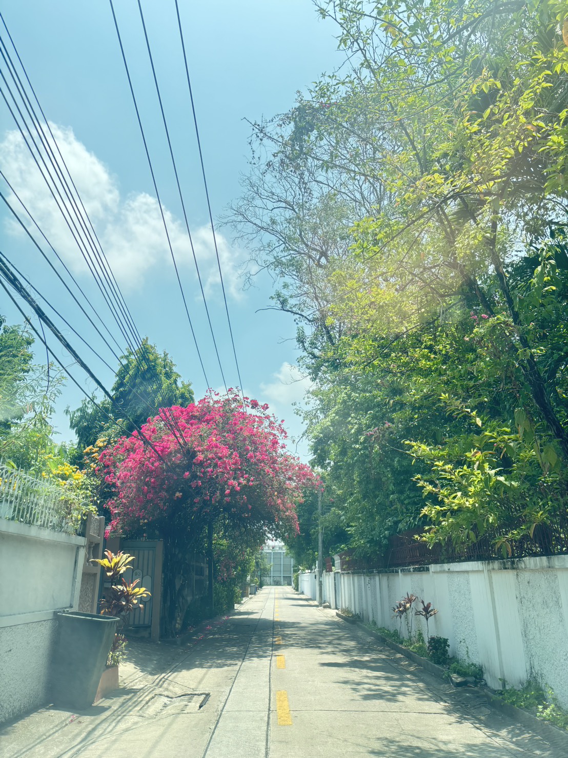 ขายที่ดินสุขุมวิท 64 แปลงใหญ่ 777 ตร.ว. ทำเลศักยภาพ ใกล้ BTS 