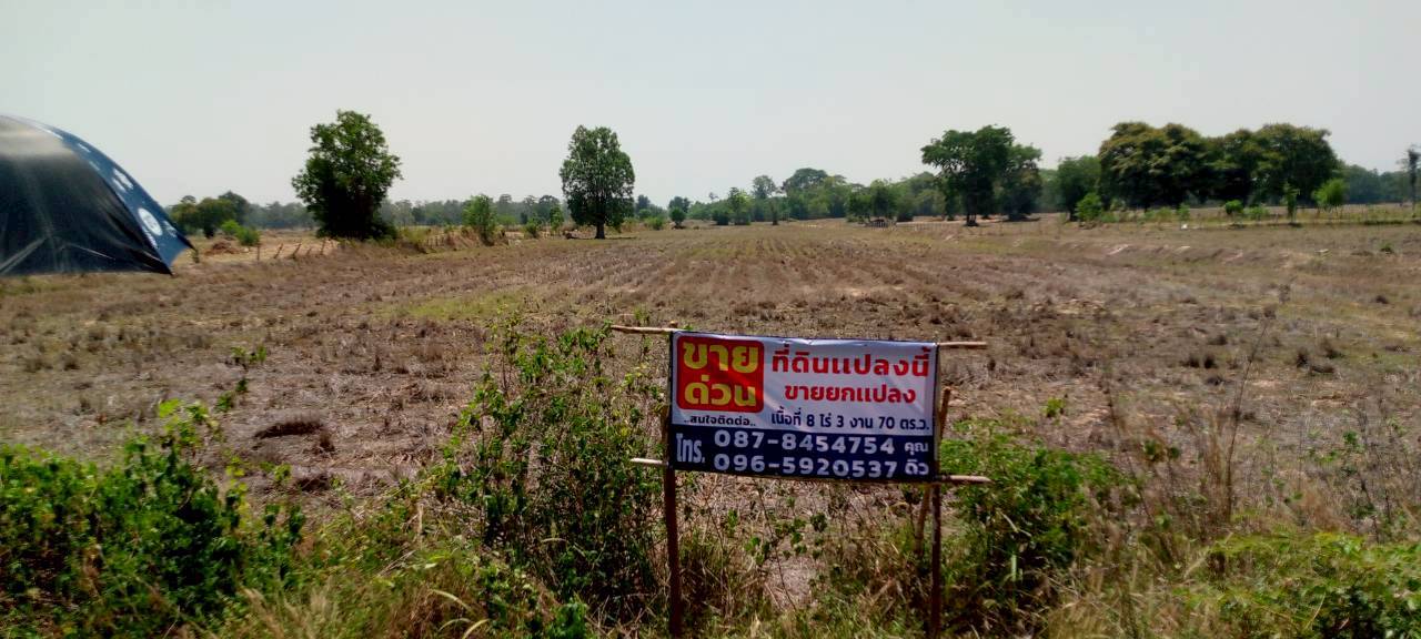 ขายด่วน ที่ดินที่นา 8 ไร่ 3 งาน 70 ตรว. ติดถนนลาดยาง โฉนดครุฑเเดงพร้อมโอน 
