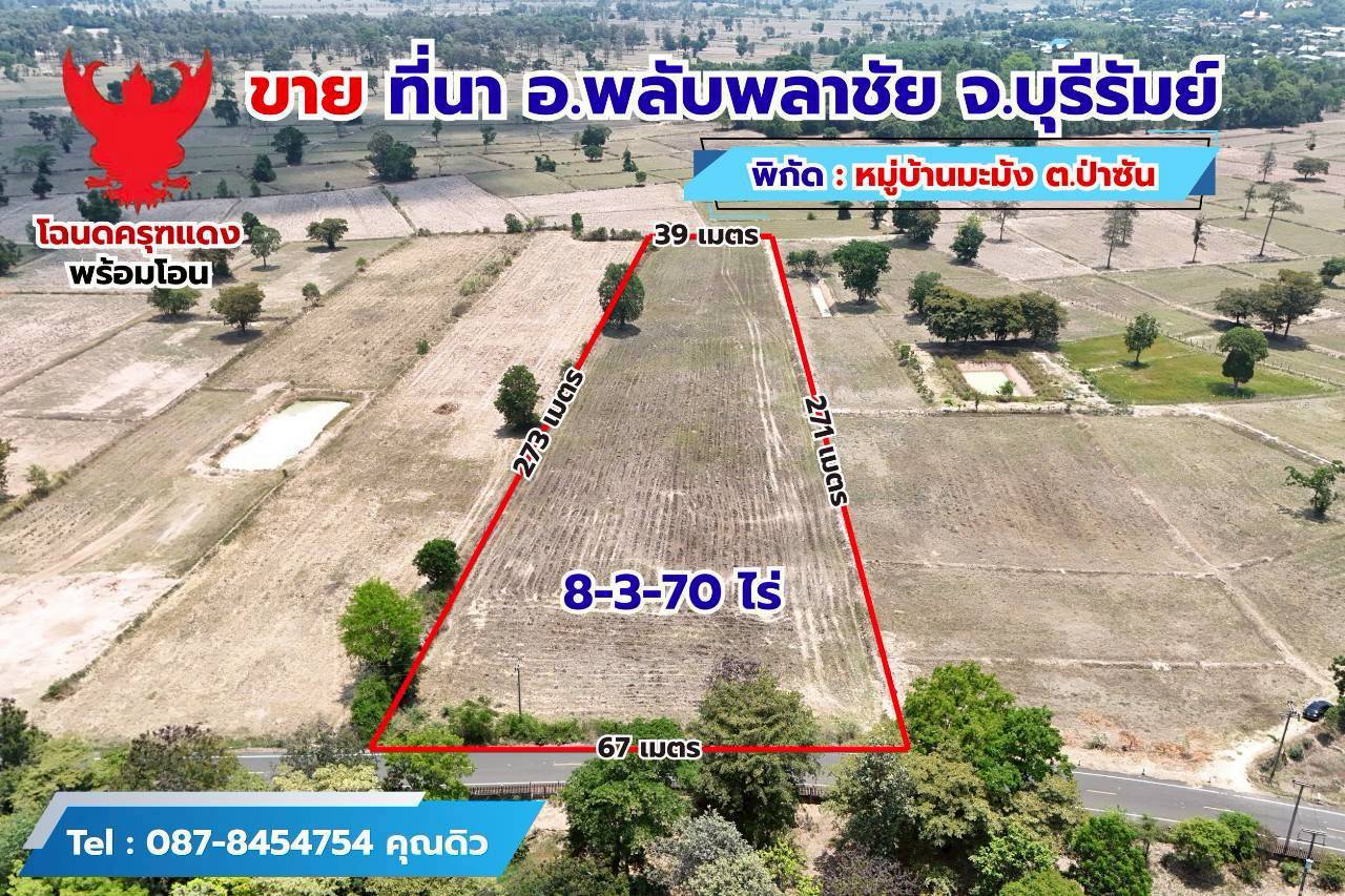 ขายด่วน ที่ดินที่นา 8 ไร่ 3 งาน 70 ตรว. ติดถนนลาดยาง โฉนดครุฑเเดงพร้อมโอน 