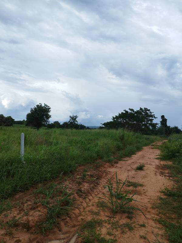 ขายที่ดิน ลดราคา 2 ไร่ สวย ที่ไทรโยค กาญจนบุรี เหมาะกับคนรักความสงบ พักผ่อน ทำสวน โทรคุยเลย 0810117012