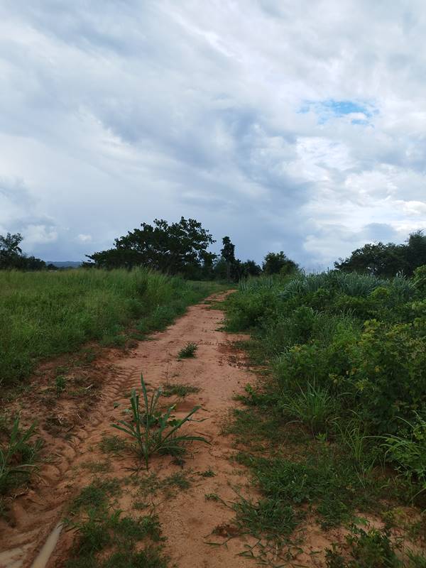 ขายที่ดิน ลดราคา 2 ไร่ สวย ที่ไทรโยค กาญจนบุรี เหมาะกับคนรักความสงบ พักผ่อน ทำสวน โทรคุยเลย 0810117012