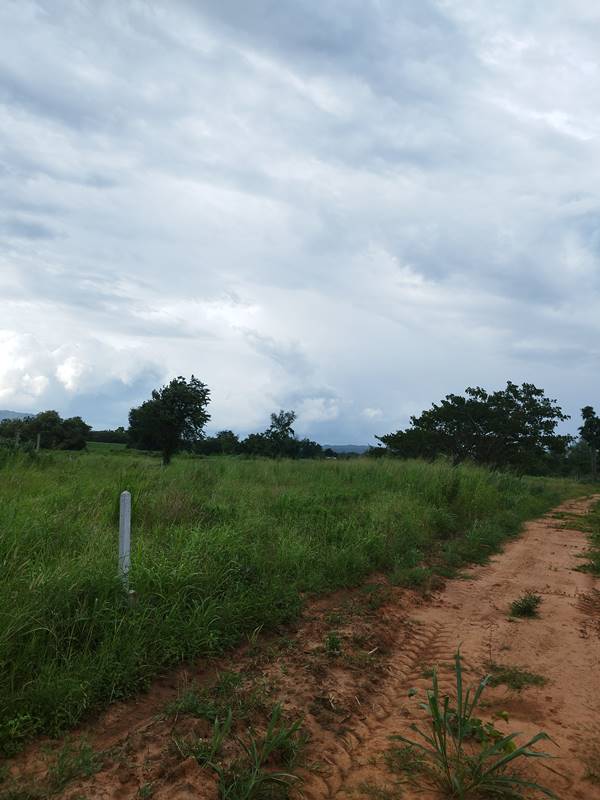 ขายที่ดิน ลดราคา 2 ไร่ สวย ที่ไทรโยค กาญจนบุรี เหมาะกับคนรักความสงบ พักผ่อน ทำสวน โทรคุยเลย 0810117012