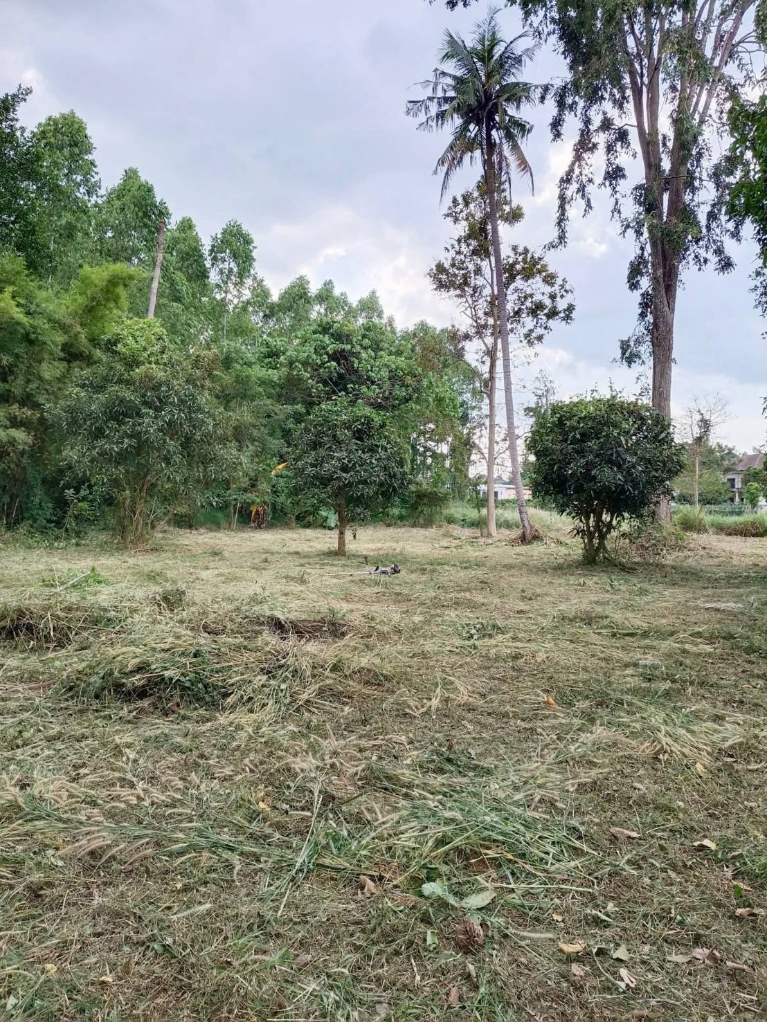 ขายที่ดินเปล่า ห้วยยายจีน  ห้วยใหญ่ ชลบุรี (เจ้าของขายเอง)