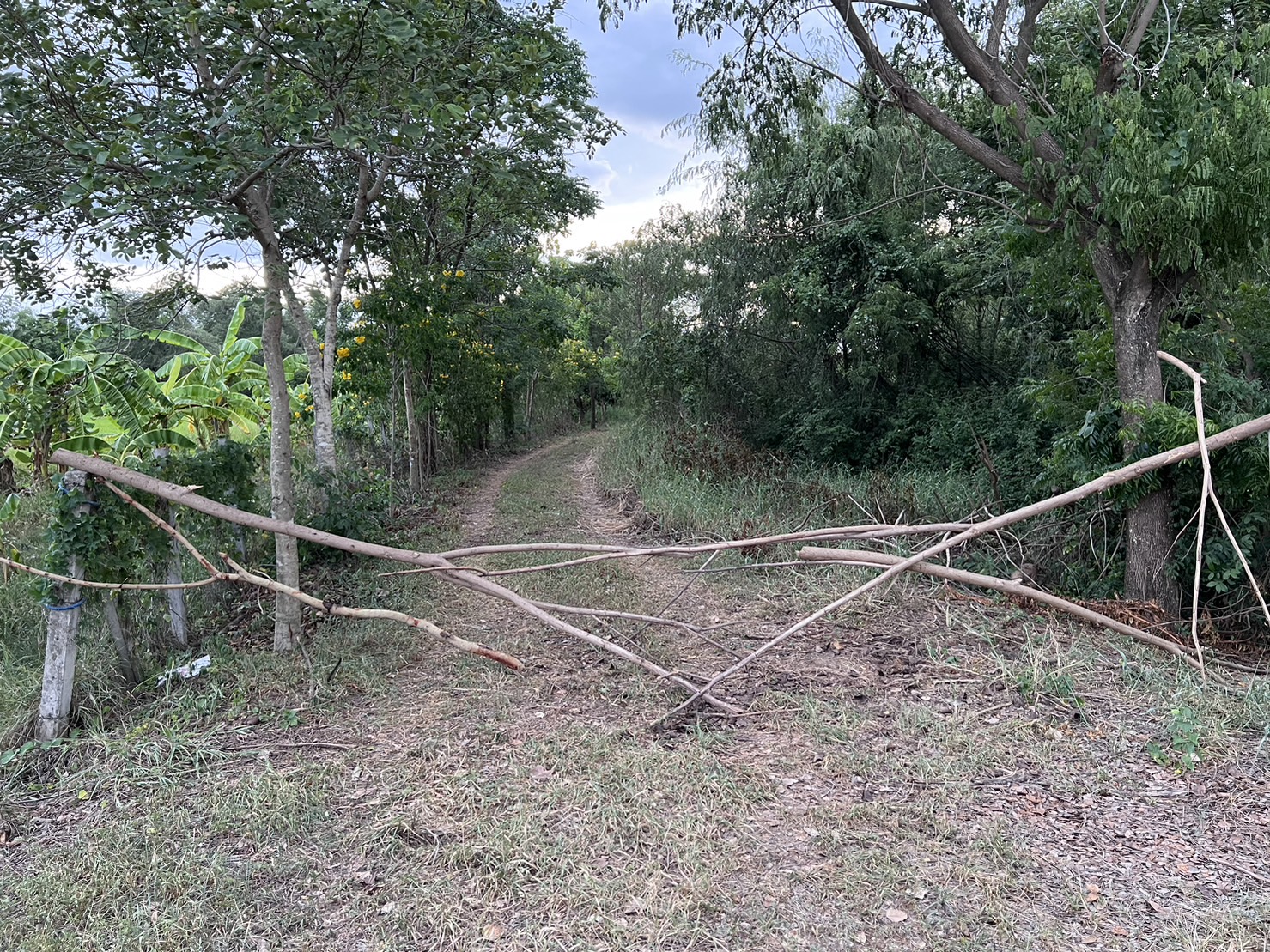 ขายด่วน ที่ดินสวยริมแม่น้ำท่าจีน  อ.หันคา จ.ชัยนาท