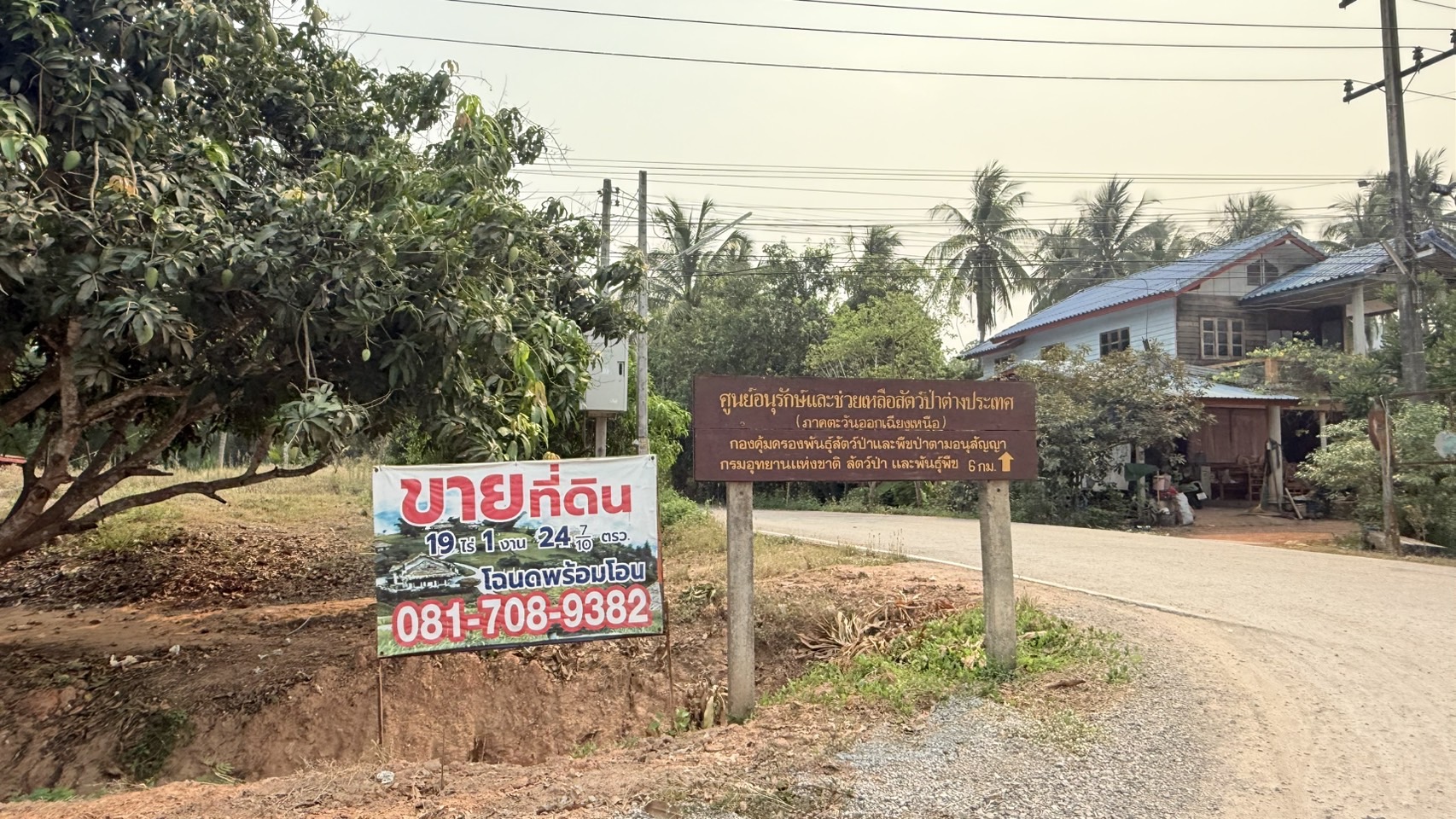 ขายที่ดิน ทำเลทอง อำเภอสังคม จังหวัดหนองคาย