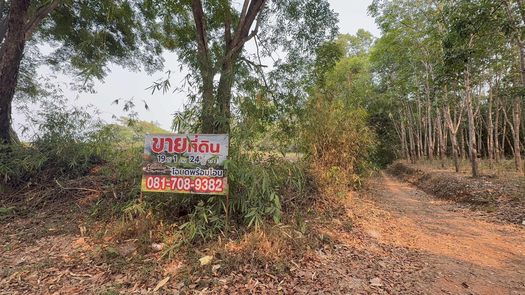 ขายที่ดิน ทำเลทอง อำเภอสังคม จังหวัดหนองคาย
