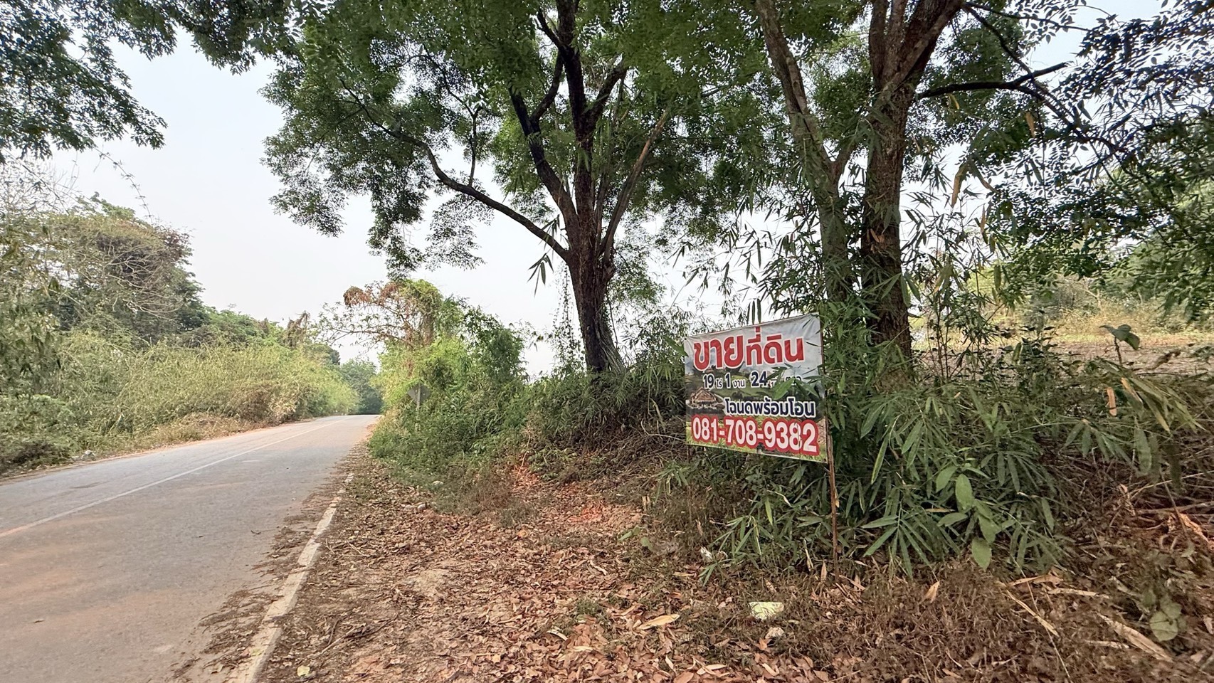 ขายที่ดิน ทำเลทอง อำเภอสังคม จังหวัดหนองคาย