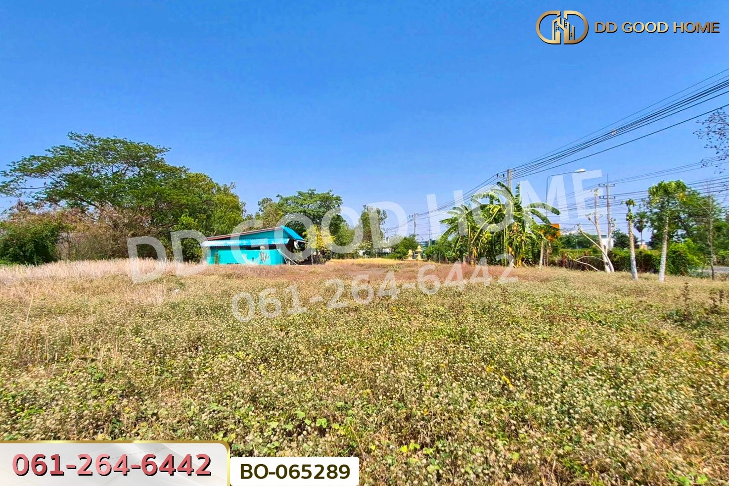 ที่ดินพร้อมสิ่งปลูกสร้างบ้านหมี่ 1 ไร่ 229 ตร.ว. ลพบุรี ใกล้ที่ว่าการอำเภอบ้านหมี่  BO-065289