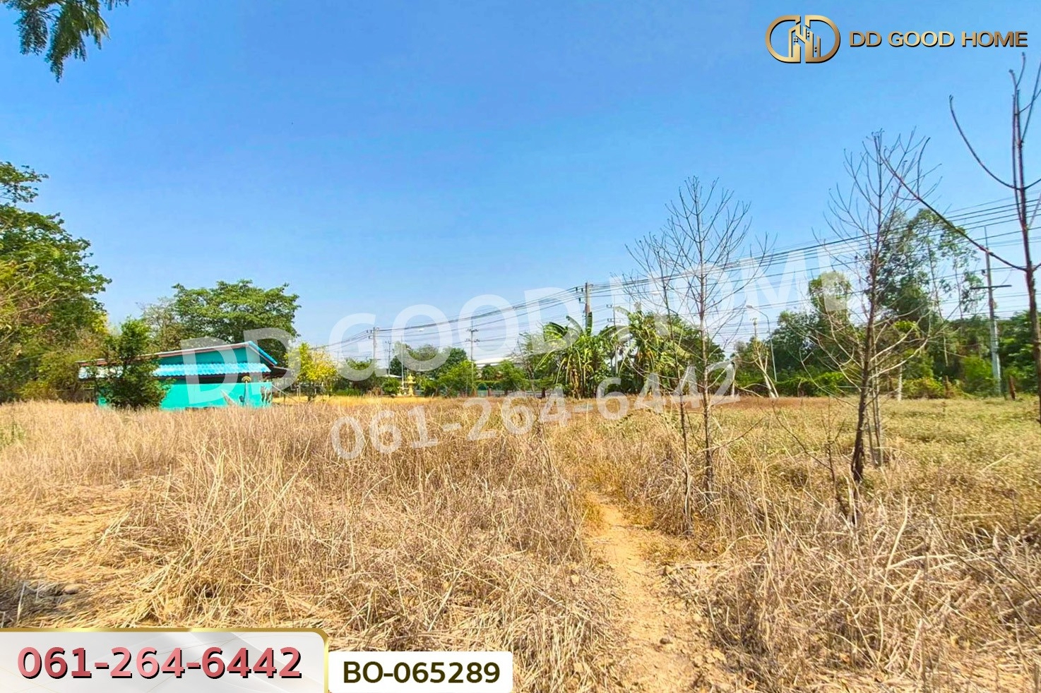 ที่ดินพร้อมสิ่งปลูกสร้างบ้านหมี่ 1 ไร่ 229 ตร.ว. ลพบุรี ใกล้ที่ว่าการอำเภอบ้านหมี่  BO-065289
