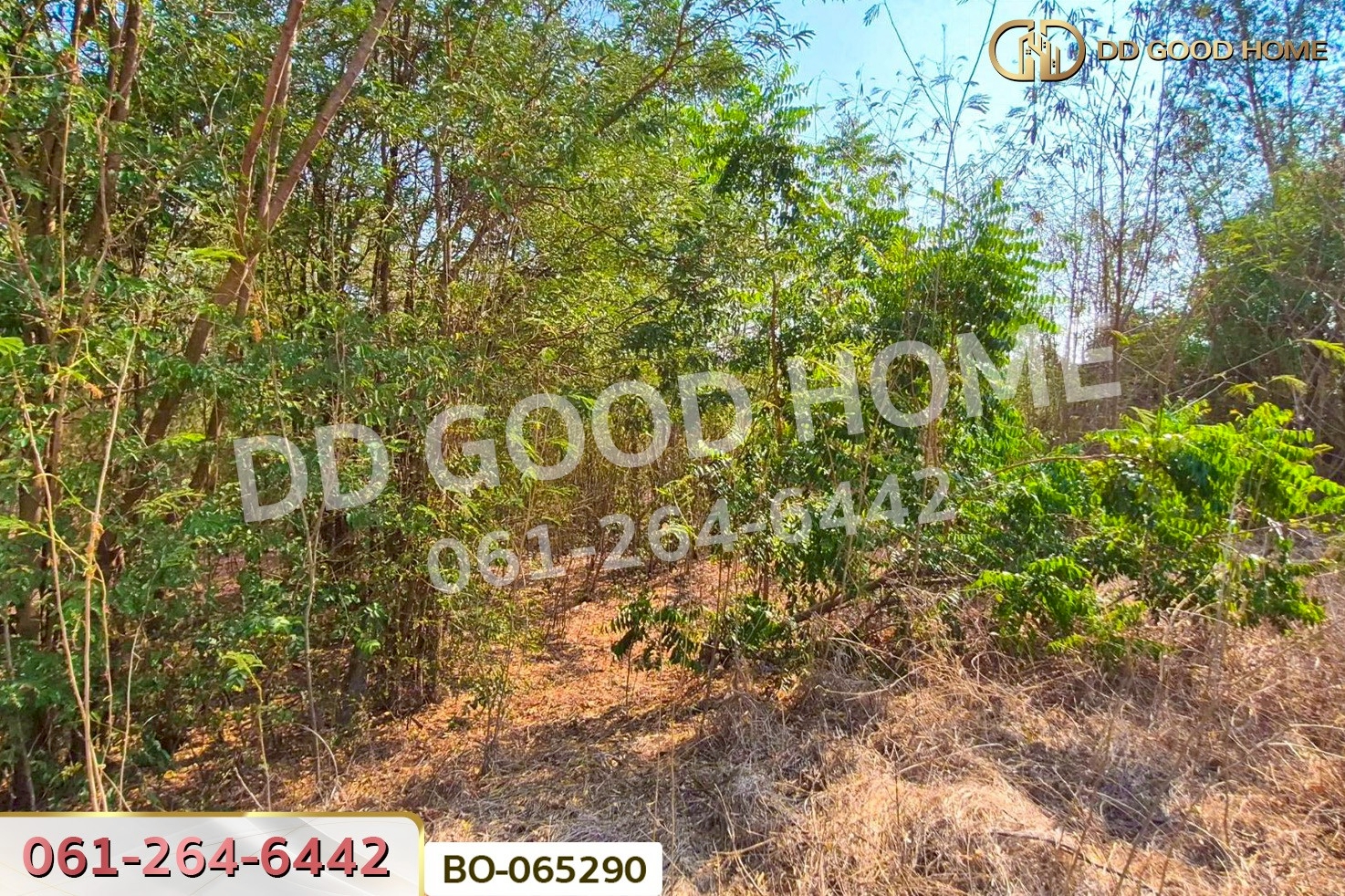 ที่ดินบ้านหมี่ 1 ไร่ 386.6 ตร.ว. ลพบุรี ใกล้ที่ว่าการอำเภอบ้านหมี่ BO-065290