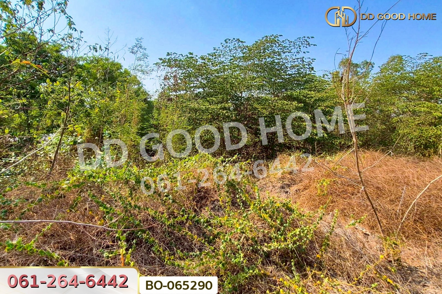 ที่ดินบ้านหมี่ 1 ไร่ 386.6 ตร.ว. ลพบุรี ใกล้ที่ว่าการอำเภอบ้านหมี่ BO-065290