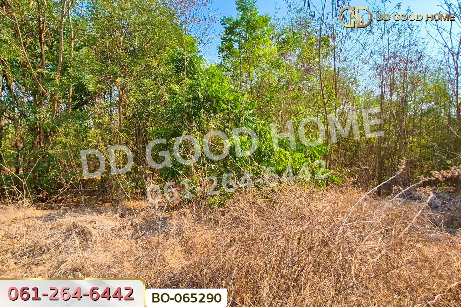 ที่ดินบ้านหมี่ 1 ไร่ 386.6 ตร.ว. ลพบุรี ใกล้ที่ว่าการอำเภอบ้านหมี่ BO-065290