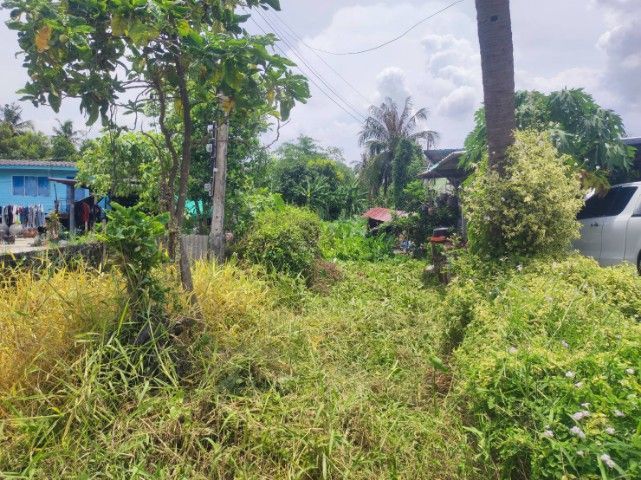 ขายที่ดินเปล่า ทำเลดี เขตหนองจอก กรุงเทพมหานคร