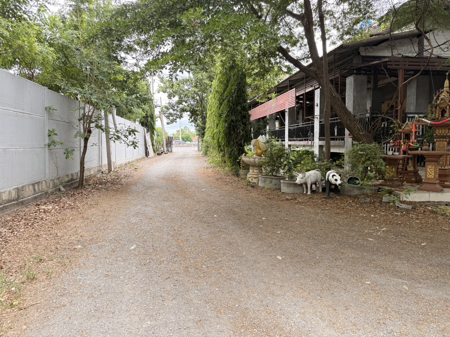 ขายที่ดินศักยภาพสูง เนื้อที่ 99 ไร่ 1 งาน 74 ตารางวา ติดถนนรังสิต–นครนายก คลอง 6