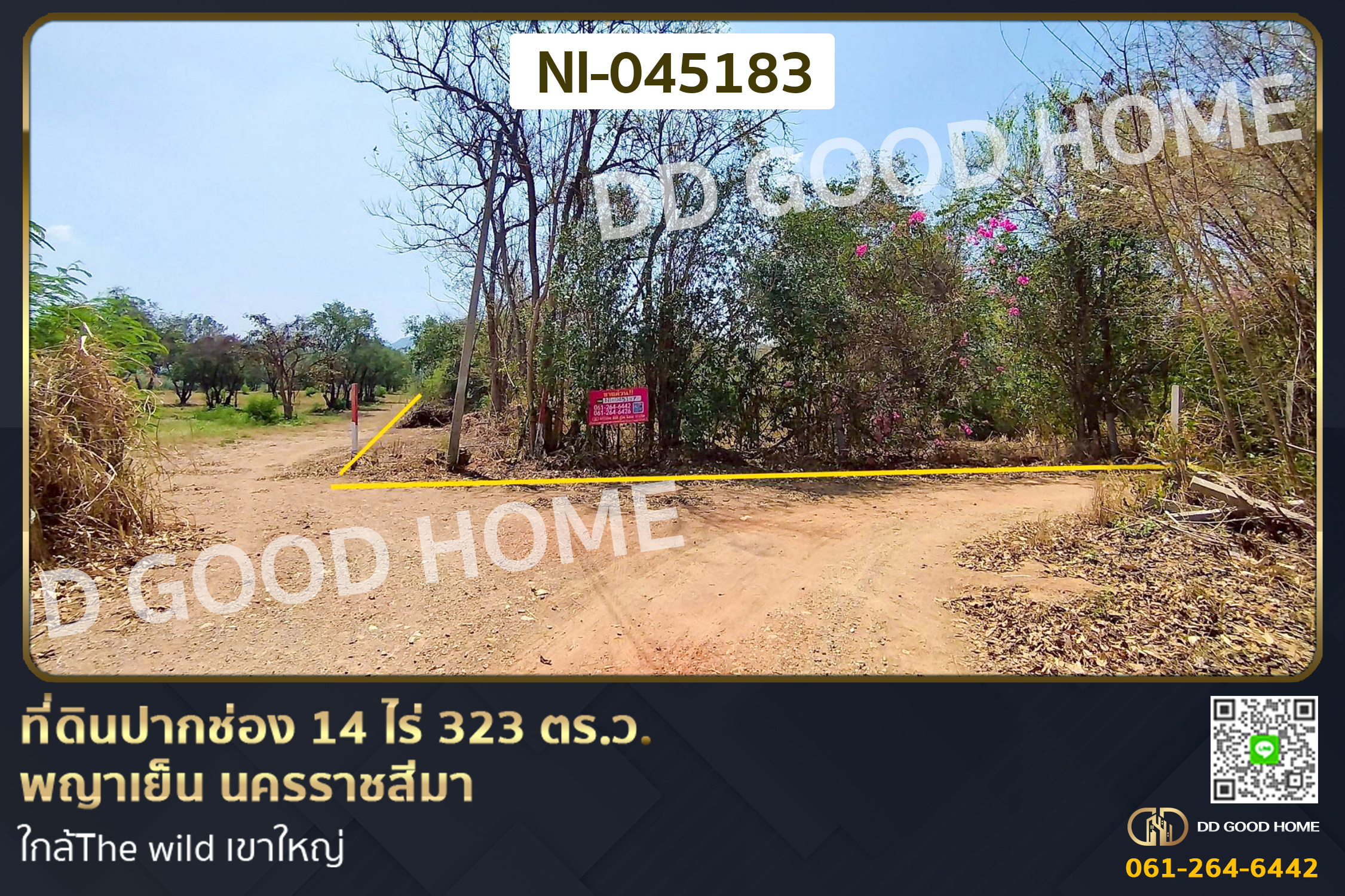 ที่ดินปากช่อง 14 ไร่ 323 ตร.ว. พญาเย็น นครราชสีมา ใกล้The wild เขาใหญ่ NI-045183