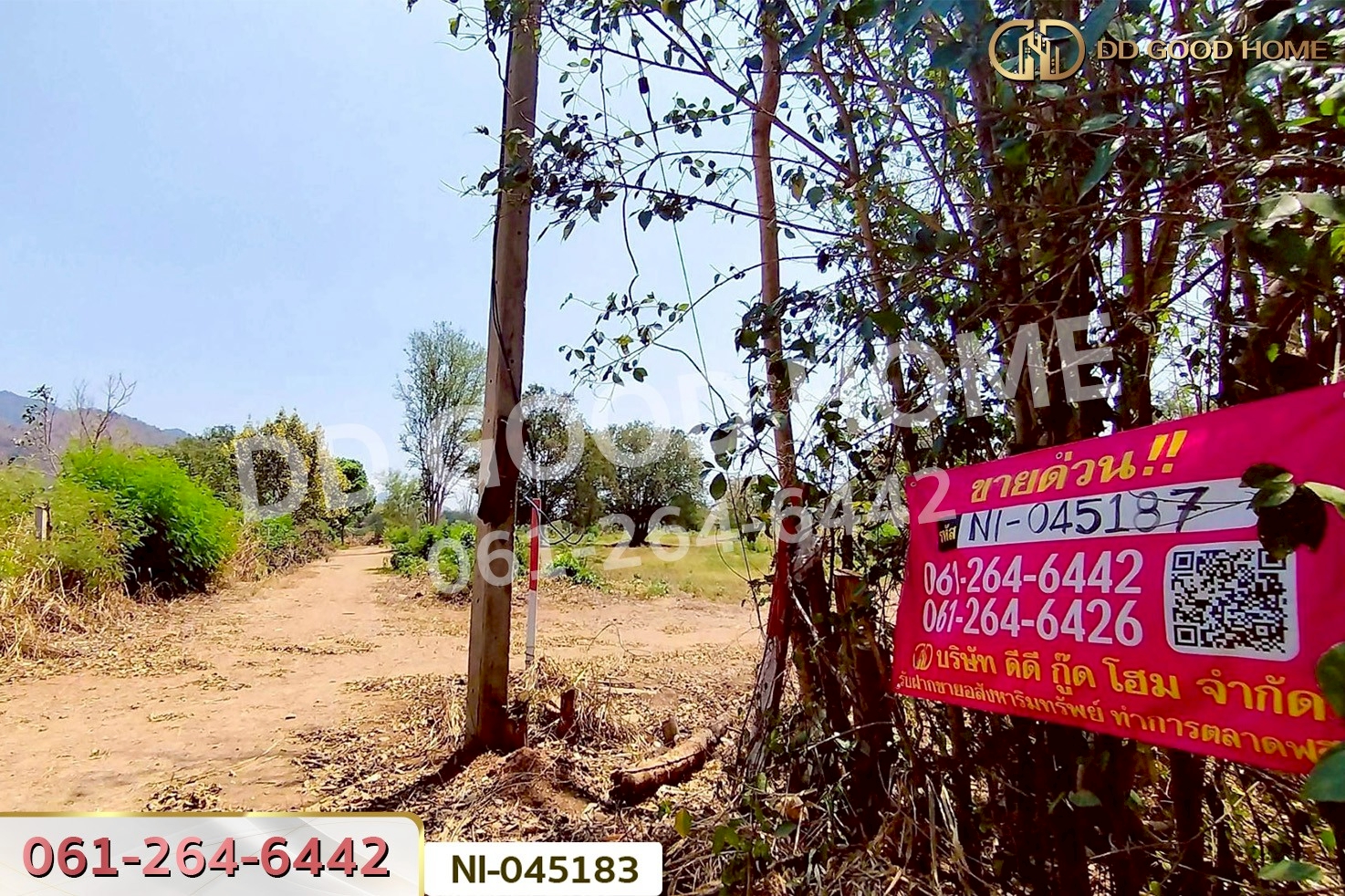 ที่ดินปากช่อง 14 ไร่ 323 ตร.ว. พญาเย็น นครราชสีมา ใกล้The wild เขาใหญ่ NI-045183