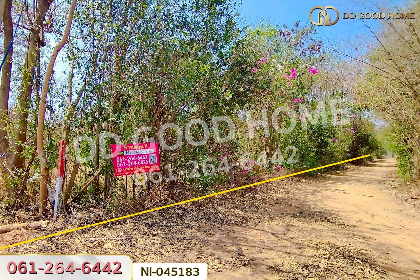 ที่ดินปากช่อง 14 ไร่ 323 ตร.ว. พญาเย็น นครราชสีมา ใกล้The wild เขาใหญ่ NI-045183