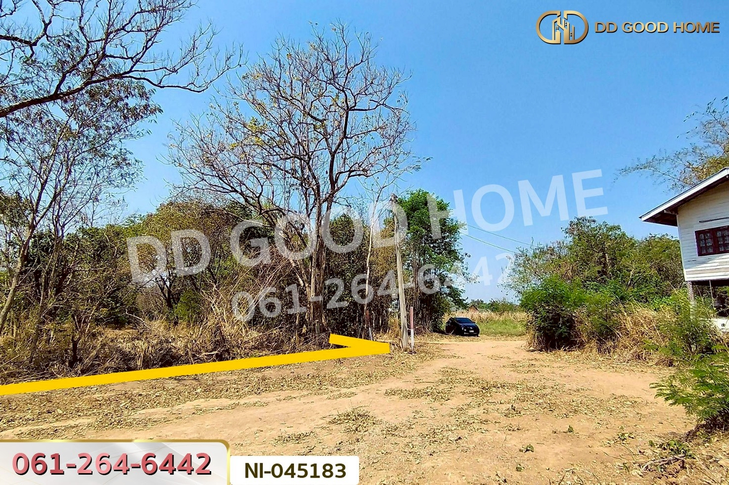 ที่ดินปากช่อง 14 ไร่ 323 ตร.ว. พญาเย็น นครราชสีมา ใกล้The wild เขาใหญ่ NI-045183