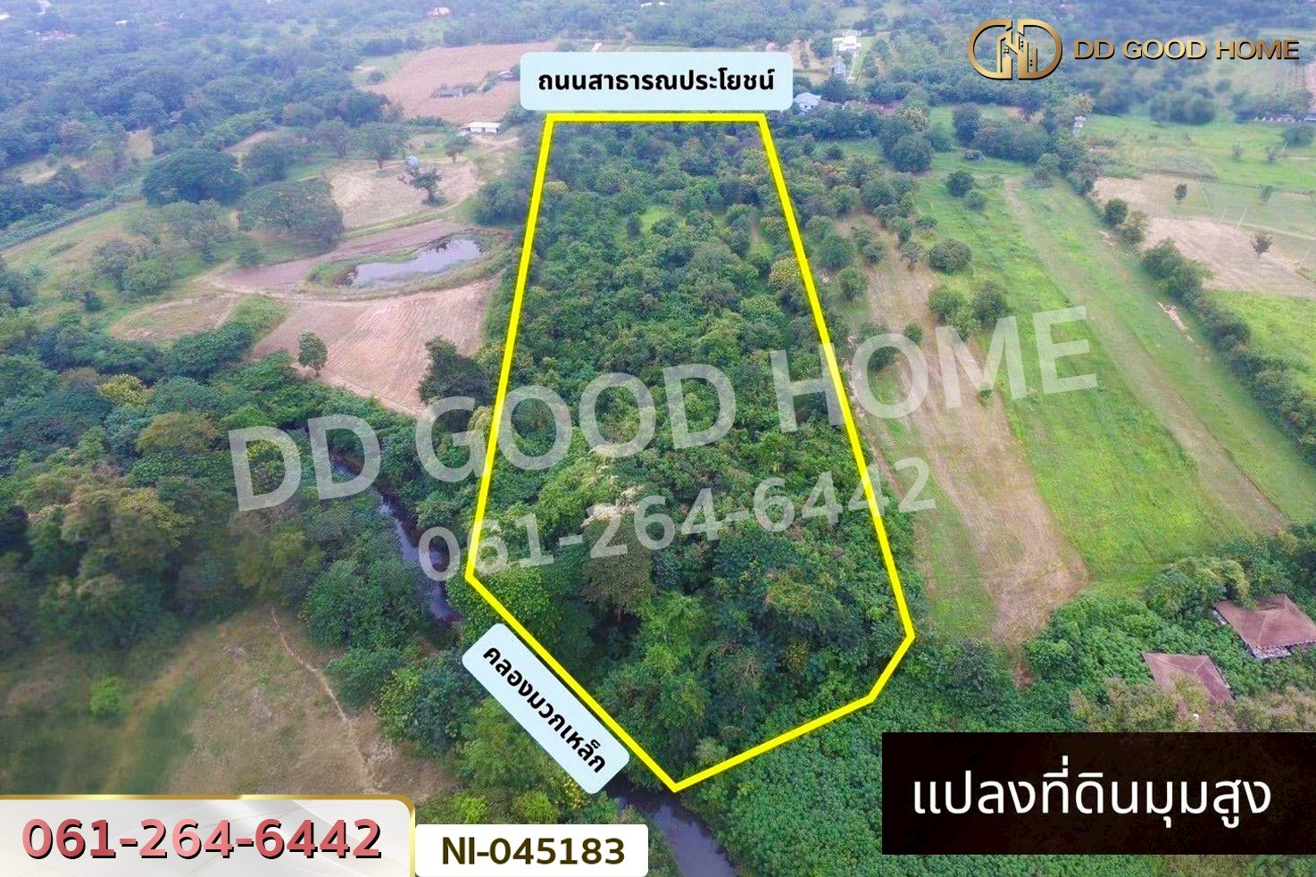 ที่ดินปากช่อง 14 ไร่ 323 ตร.ว. พญาเย็น นครราชสีมา ใกล้The wild เขาใหญ่ NI-045183