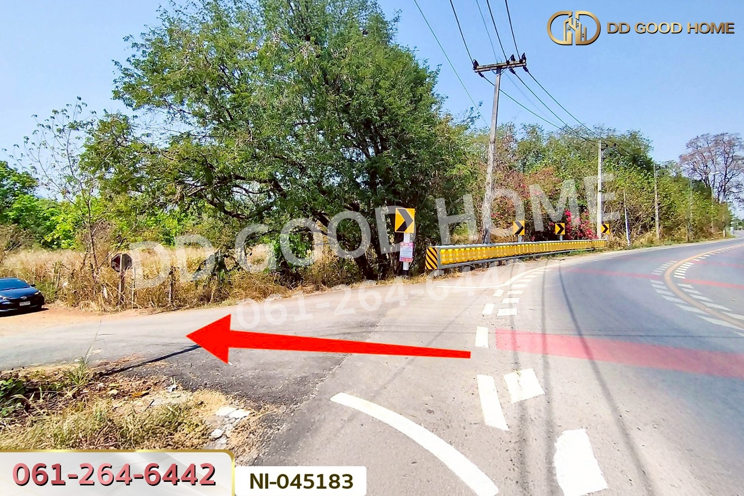 ที่ดินปากช่อง 14 ไร่ 323 ตร.ว. พญาเย็น นครราชสีมา ใกล้The wild เขาใหญ่ NI-045183