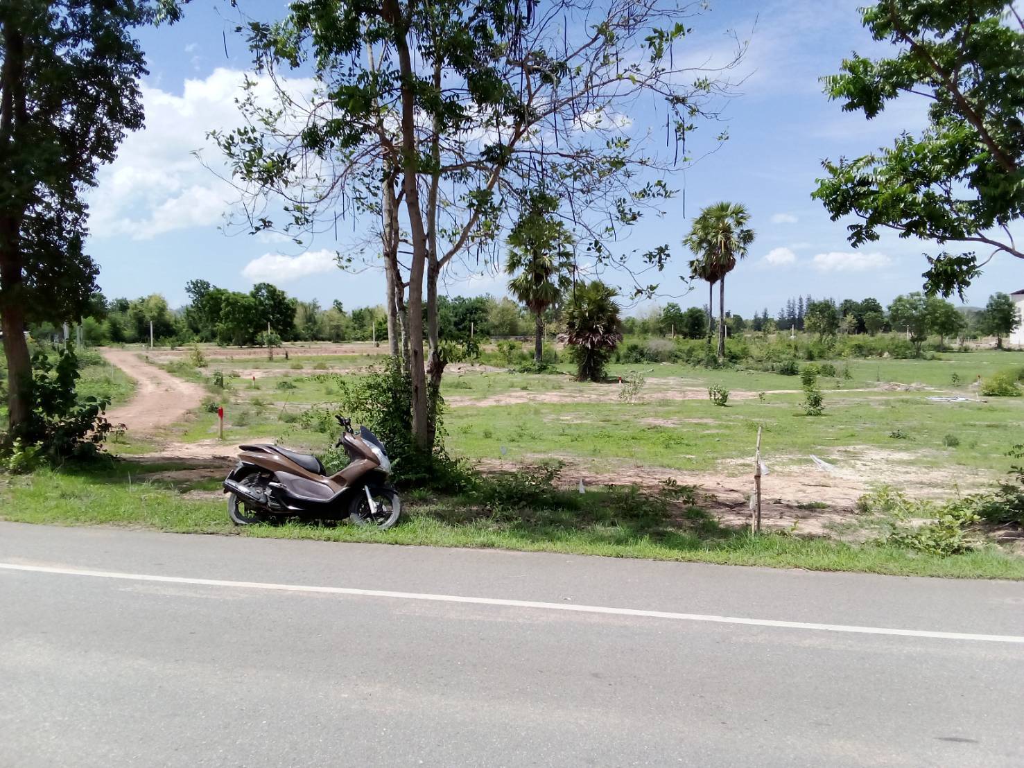 ขายที่ดินแปลงสวย อ.แก่งกระจาน จ.เพชรบุรี