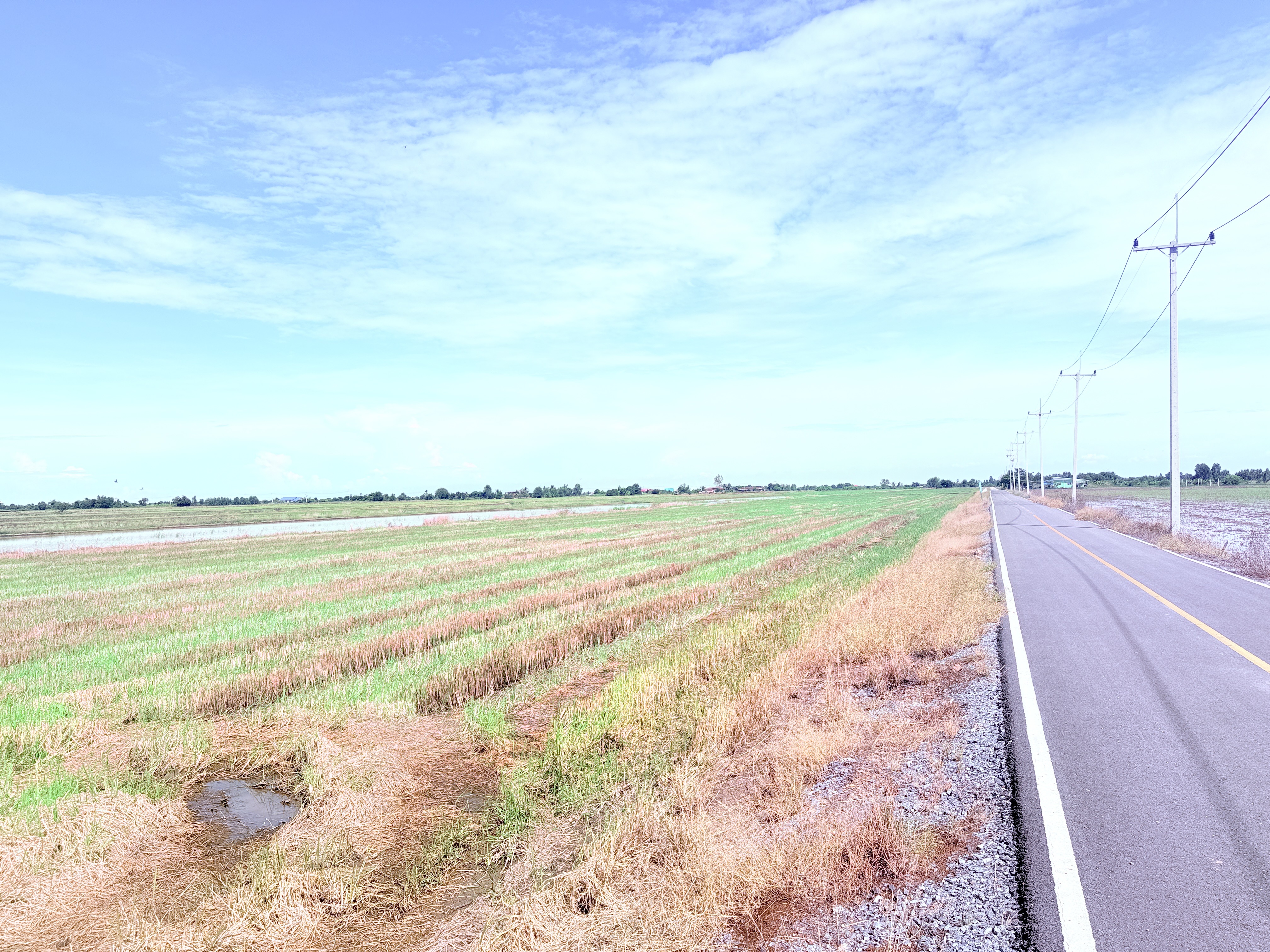 ขายที่ดินเปล่า ขนาดใหญ่  ราคาดี ทำเลบางเลน จ.นครปฐม