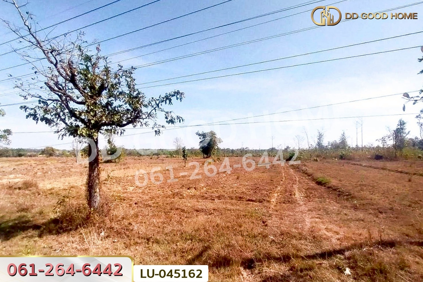 ที่ดินพรรณานิคม 14 ไร่ 196  ตร.ว. สกลนคร ใกล้องค์การบริหารส่วนตำบลบะฮี LU-045162