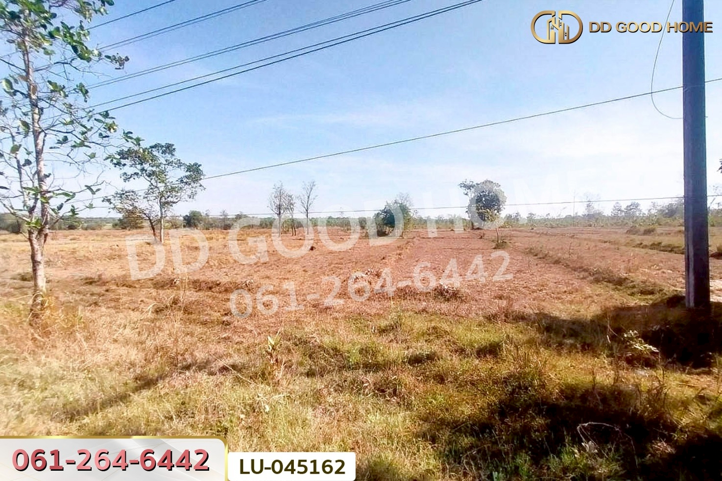 ที่ดินพรรณานิคม 14 ไร่ 196  ตร.ว. สกลนคร ใกล้องค์การบริหารส่วนตำบลบะฮี LU-045162