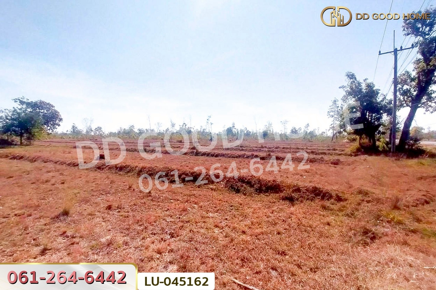 ที่ดินพรรณานิคม 14 ไร่ 196  ตร.ว. สกลนคร ใกล้องค์การบริหารส่วนตำบลบะฮี LU-045162