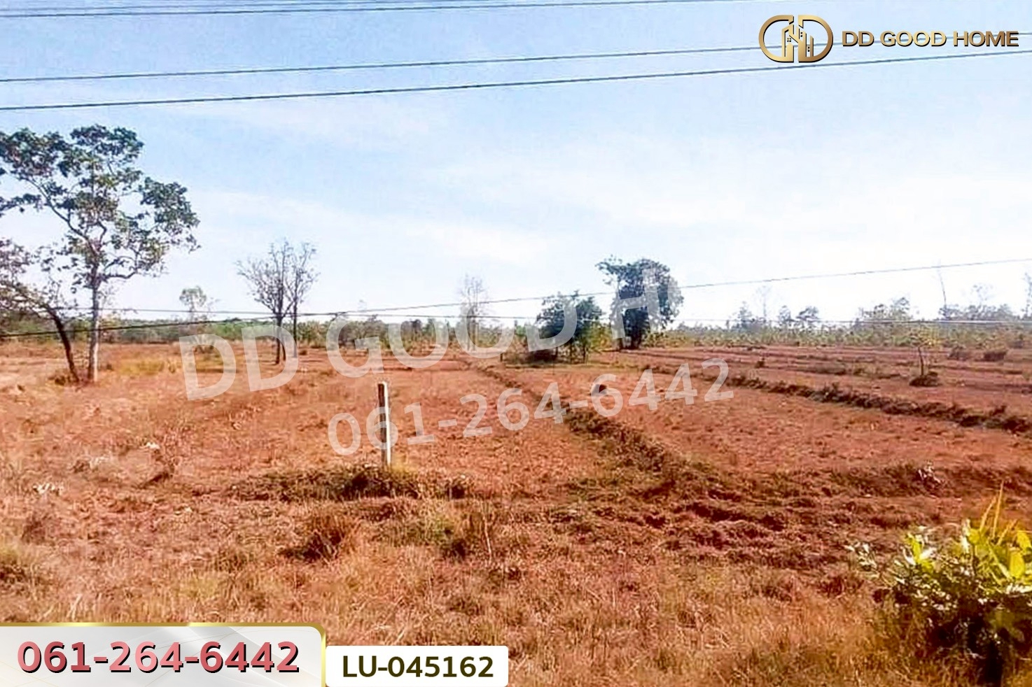 ที่ดินพรรณานิคม 14 ไร่ 196  ตร.ว. สกลนคร ใกล้องค์การบริหารส่วนตำบลบะฮี LU-045162