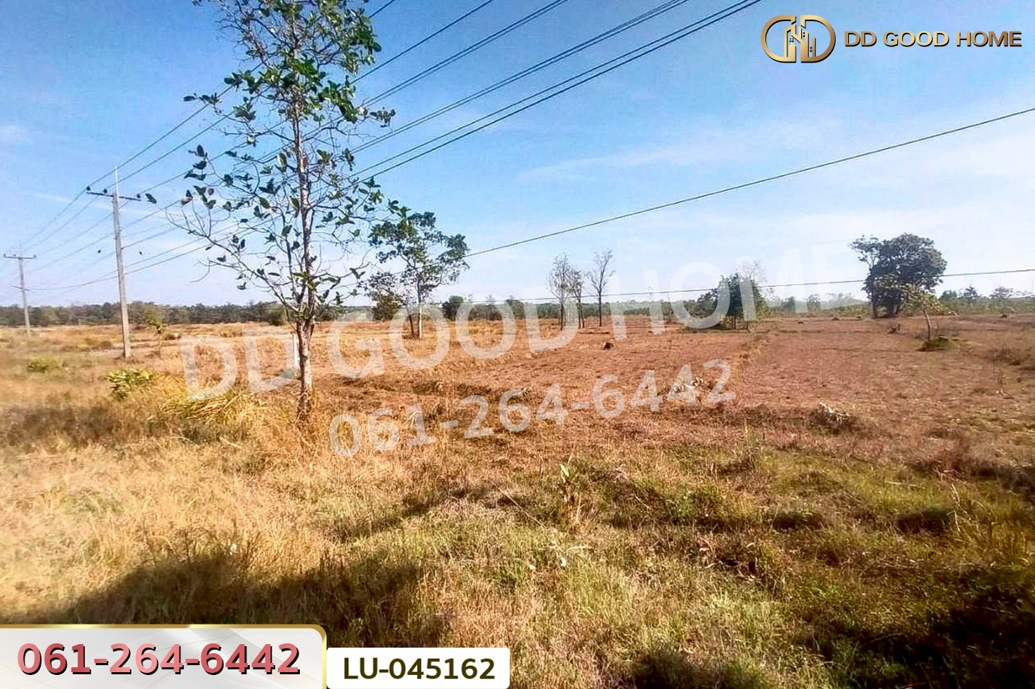 ที่ดินพรรณานิคม 14 ไร่ 196  ตร.ว. สกลนคร ใกล้องค์การบริหารส่วนตำบลบะฮี LU-045162