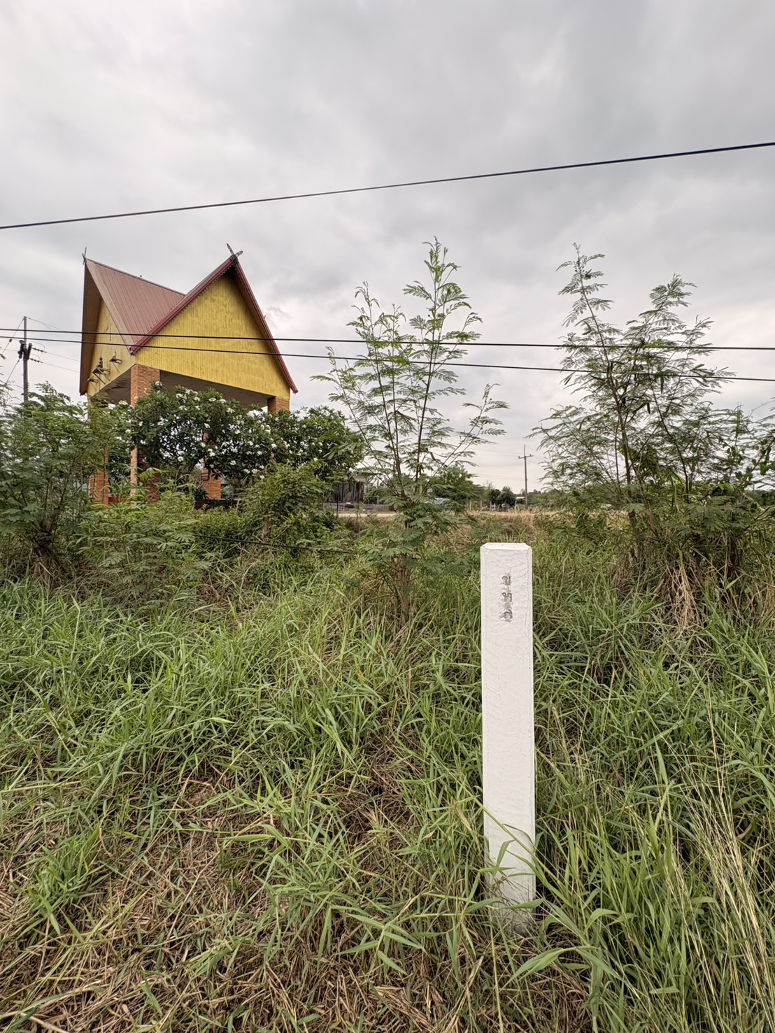 ขายที่ดินเปล่า ทำเลดี วัดป่าผาเจริญ (หน้าทางเข้า) อำเภอวังสะพุง จังหวัดเลย